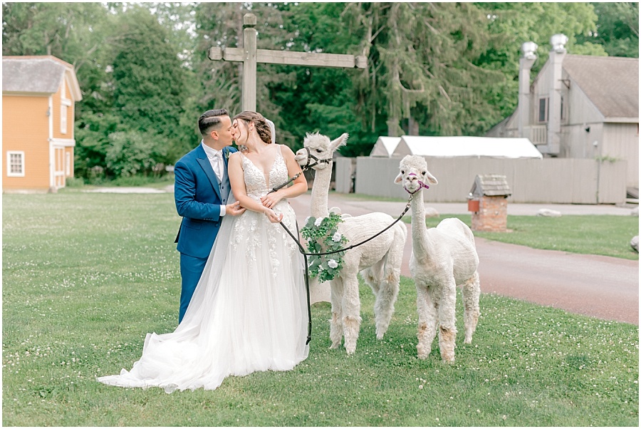 A light and airy summer wedding at Waterloo Village with elegant details and alpacas
